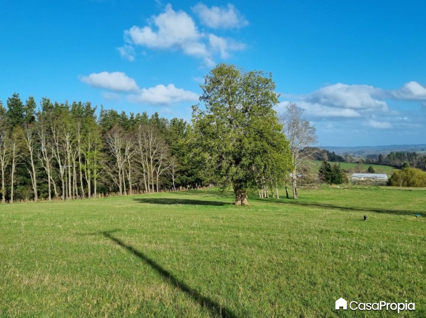 Venta en Osorno | SE VENDE PARCELA SECTOR CHEUQUEMO