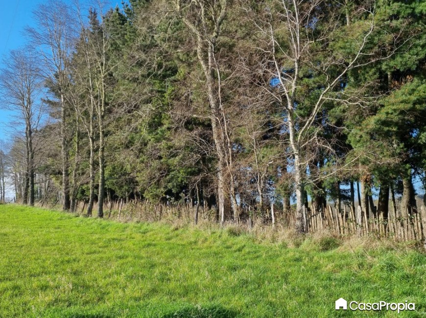 Venta en Osorno | SE VENDE PARCELA SECTOR CHEUQUEMO