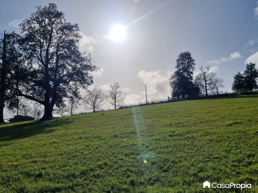 Venta en Osorno | SE VENDE PARCELA SECTOR CHEUQUEMO