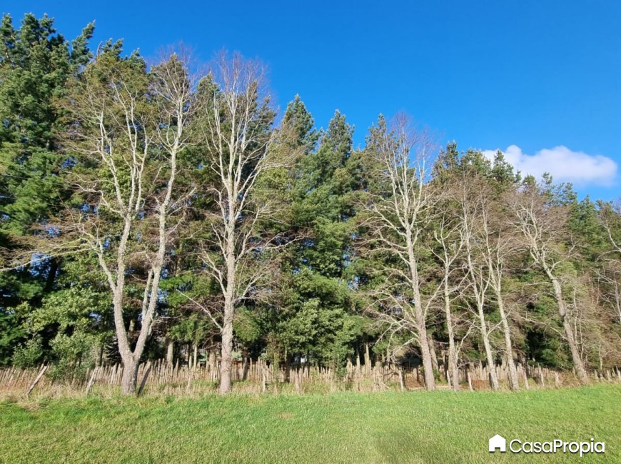 Venta en Osorno | SE VENDE PARCELA SECTOR CHEUQUEMO