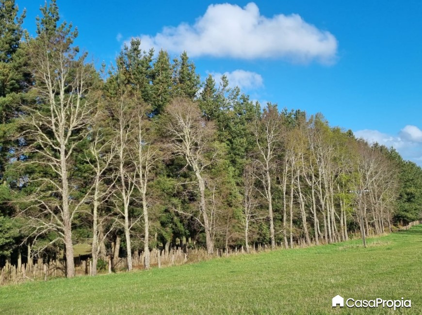 Venta en Osorno | SE VENDE PARCELA SECTOR CHEUQUEMO