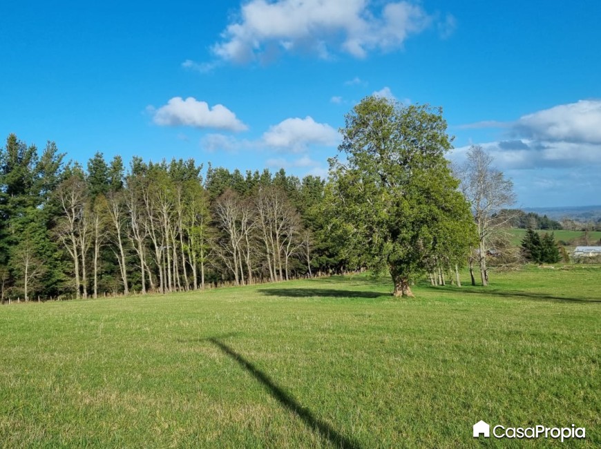 Venta en Osorno | SE VENDE PARCELA SECTOR CHEUQUEMO